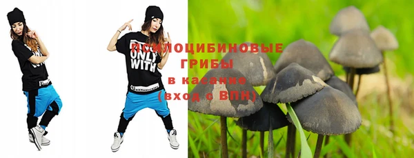 марки nbome Новозыбков